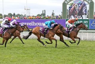 Media Sensation moved to the top of the leaderboard in the NZB Filly of the Year Series after winning the prestigious Group 1 Gavelhouse.com New Zealand 1000 Guineas.